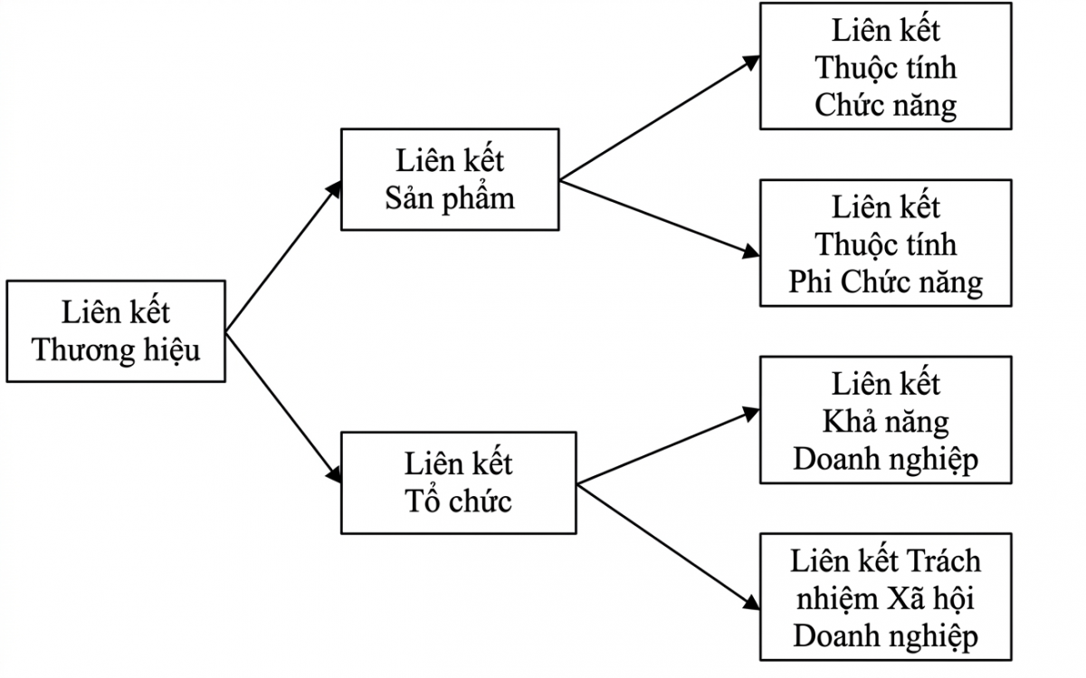 phân loại brand association